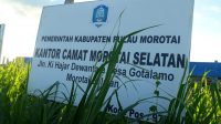 Kantor Camat Morotai Selatan, Kabupaten Pulau Morotai, dipenuhi rumput liar. (ul/beritadetik.id).