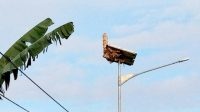 Lampu Jalan Ditutupi Sarang Tawon Ndas, (beritadetik.id).