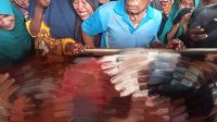 Korban Talib Muid (65 Tahun) warga Desa Gotowasi, Kecamatan Maba Selatan, Halmahera Timur saat dievakuasi warga usai diserang OTK, Sabtu 29 Oktober 2022.(beritadetik.id)..