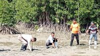 Peringati Hari Ikan Nasional HSNI Sula Tanam 100 Pohon Mangrove di Desa Bajo, (nox/beritadetik.id).