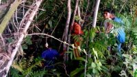 Warga dan Unit Sar Morotai saat melakukan pencarian korban, Jumat 17 Februari 2023.(Foto : Tim SAR).