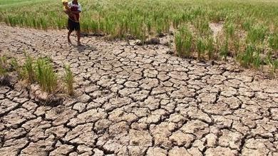 Siklus El Nino atau kemarau panjang bakal melanda Indonesia mulai Mei 2023.(Foto : Istimewa).
