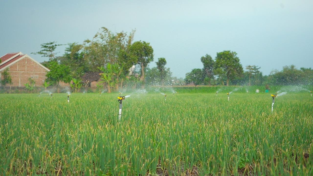 Langkah PLN dalam mendukung sektor agrikultur di Indonesia.(Foto : PLN).