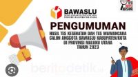 Ilustrasi pengumuman seleksi Calon Anggota Bawaslu Kabupaten/Kota di Maluku Utara.(Foto : Beritadetik.id).