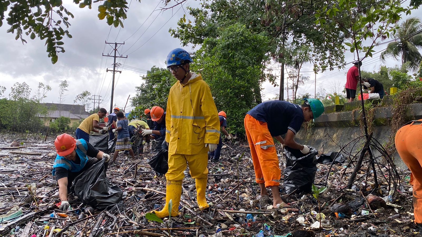 PT PLN (Persero) Unit Pelaksana Pembangkitan Maluku melaksanakan aksi bersih-bersih sampah di kawasan hutan bakau atau mangrove Desa Poka, Kecamatan Teluk Ambon, Kota Ambon.
