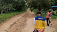 Tim Balai Jalan Nasional saat monitoring jalan lingkar Taliabu, Maluku Utara, Kamis 7 September 2023.(Istimewa).