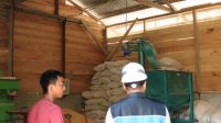 PLN Lakukan Penyalaan Pelanggan Potensial di Desa Dodinga di ruang Gudang pakan ternak milik bapak Hanafi Ali.