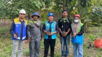 PLN berpartisipasi dalam kegiatan percepatan penanaman untuk rehabilitasi daerah aliran sungai yang terletak di hutan lindung Kecamatan Weda, Kabupaten Halmahera Tengah, Maluku Utara, Kamis 25 April 2024.(istimewa).