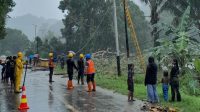 Perbaikan Jaringan TM di Dusun Sawaloi oleh petugas PLN