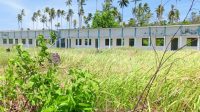 Gedung Sekolah Mangkrak di Pulau Morotai Gedung megah SMP Unggulan 5 di Desa Cendana, Kecamatan Morotai Jaya yang tak terurus.(Foto : M. Bahrul Kurung/beritadetik.id).