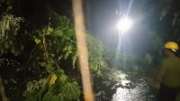 Tanah longsor menutupi seluruh badan jalan di Desa Saria, Sabtu malam (21/6/2025) || Foto: Diaz
