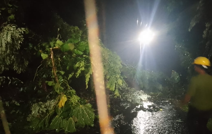 Tanah longsor menutupi seluruh badan jalan di Desa Saria, Sabtu malam (21/6/2025) || Foto: Diaz