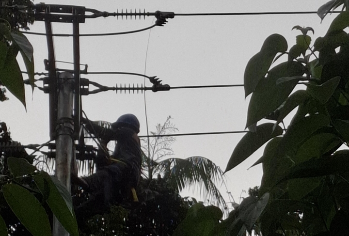PLN ULP Namlea mengintensifkan upaya pemulihan gangguan kelistrikan yang terjadi di wilayah Kabupaten Buru pada Sabtu (17/5) akibat cuaca ekstrem.(dok : PLN).