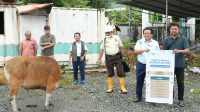 General Manager PLN UIW Maluku dan Maluku Utara, Noer Soeratmoko, saat penyaluran hewan kurban kepada masyarakat di berbagai wilayah Maluku dan Maluku Utara. General Manager PLN UIW Maluku dan Maluku Utara, Noer Soeratmoko.(Doc : PLN).